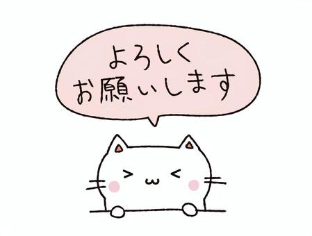写メ
