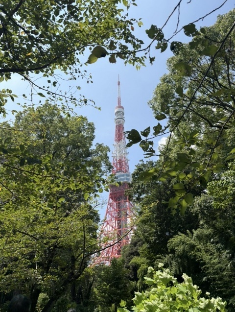 写メ