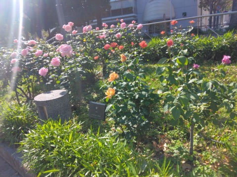 写メ